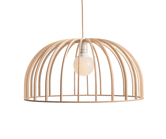 Dome Hanging Light